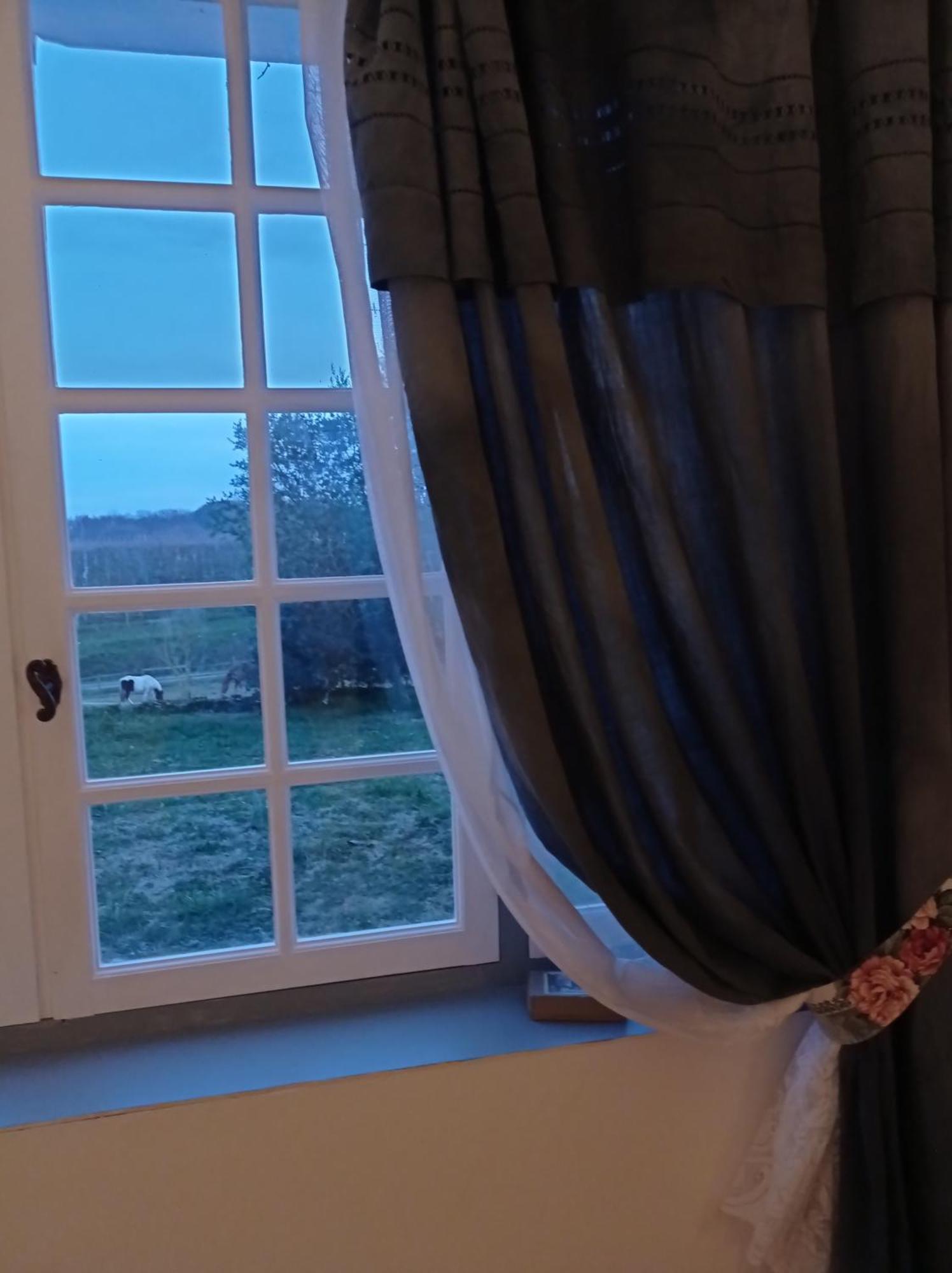 Le Chateau De Roquebere Condom Exterior photo